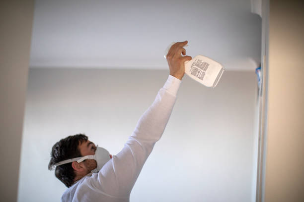 Best Emergency Mold Removal  in Reno, OH