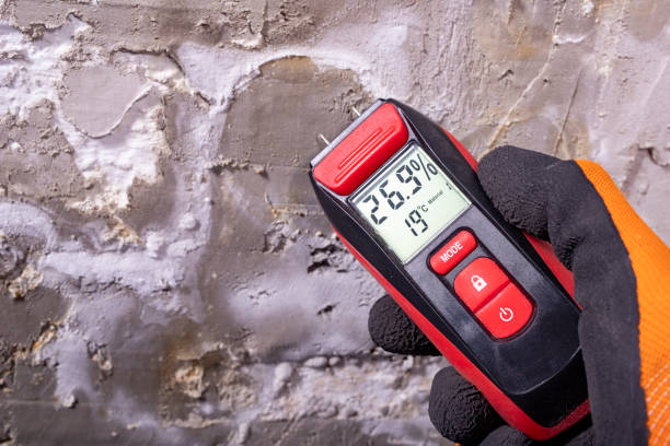Best Local Mold Removal Service  in Reno, OH